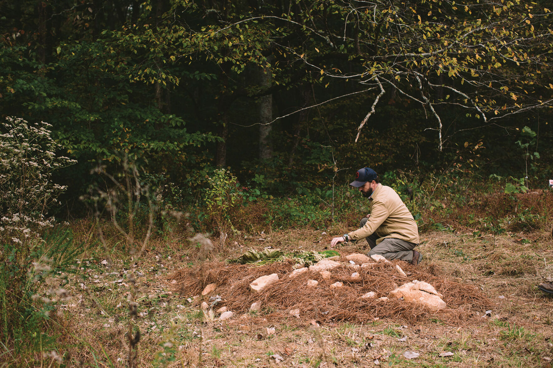 Larkspur Conservation
